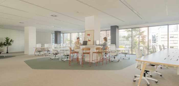 Ignis Energía Offices – Madrid