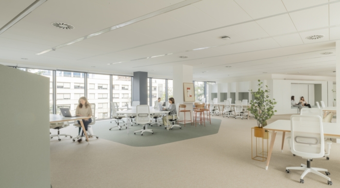 Ignis Energía Offices – Madrid
