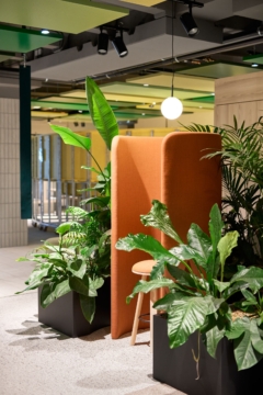 Acoustic Ceiling Panel in Brainhouse247 Coworking Offices - Laatzen