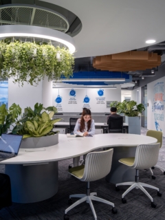 Acoustic Ceiling Baffle in Suntory PepsiCo Vietnam Offices - Ho Chi Minh City