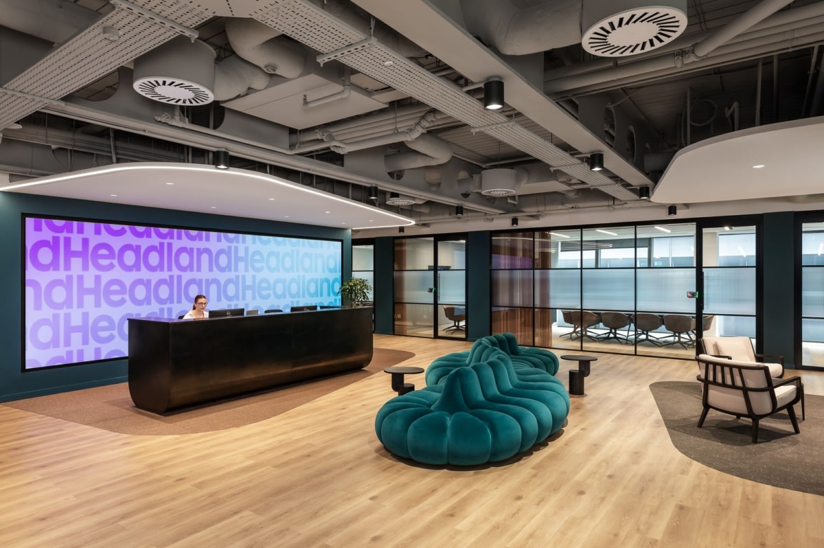 Fuzzland office