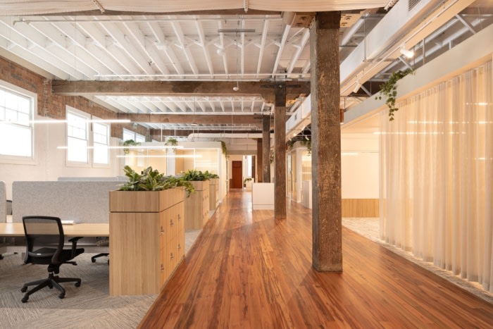 Inhabit & Egis Offices - Brisbane - 1