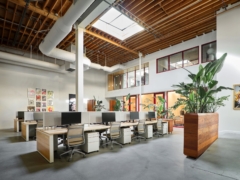 Task Chair in Jacques Marie Mage Offices - Los Angeles
