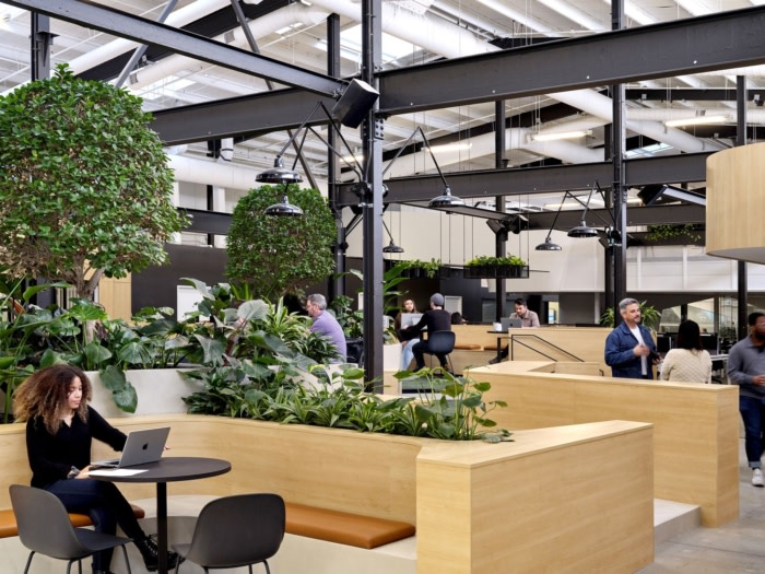 Plus Company Offices - Toronto - 7