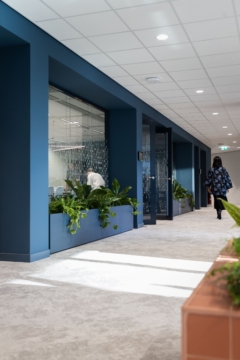 Booking Screen in Confidential International Insurance Company Offices - The Netherlands