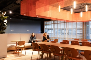 Confidential International Insurance Company Offices - The Netherlands