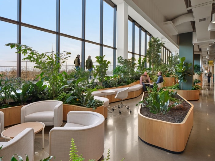 Arvest at Ledger Offices - Bentonville - 5