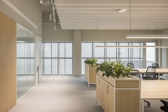 Task Chair in Delibreads Offices - Valencia