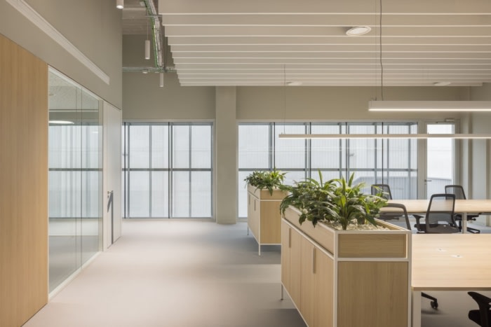 Delibreads Offices – Valencia