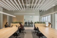 Task Chair in Delibreads Offices - Valencia