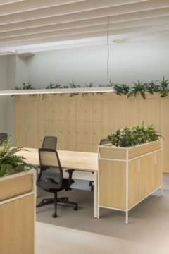 Task Chair in Delibreads Offices - Valencia