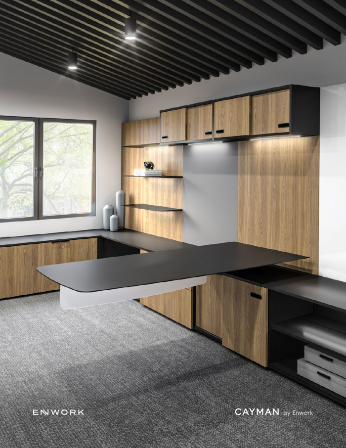 enworkcayman-brochure121924.pdf