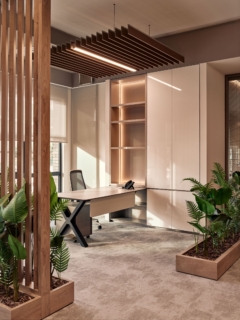 Private Office in Feyzi Foreign Trade Offices - Istanbul
