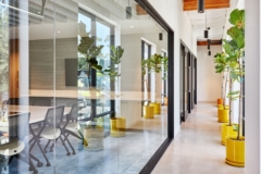 Mass Timber in Meals on Wheels Office - San Diego
