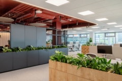 Open Office in Confidential Global Technology Company Offices - Bucharest