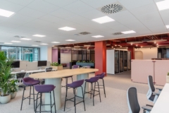 Open Office in Confidential Global Technology Company Offices - Bucharest