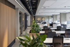 Open Office in MAN Group Offices - Sofia