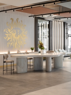 Mass Timber in Publicis Groupe Offices - Paris