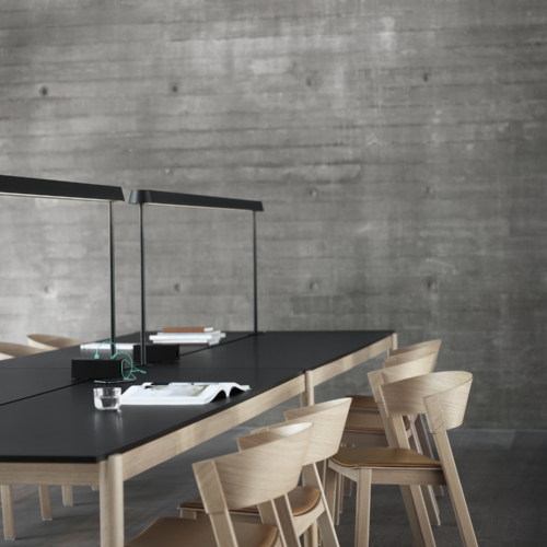 Linear Mounted Lamp - 0