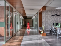 People in Nuramed Pharmaceuticals Offices - Mehsana