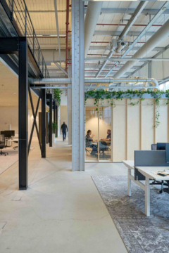 Atrium in Clinclowns Offices - Amsterdam