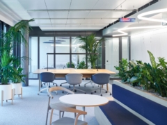 Cement in Swisscom (Schweiz) Offices - Zurich