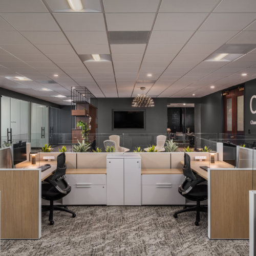 recent Catalent Offices – Tampa office design projects