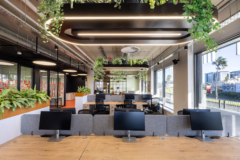 Task Chair in Sporty Group Offices - Cape Town