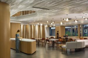 Northwestern Medicine, Faculty Office Center – Chicago