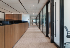 Drop Ceiling in Osler Offices - Montreal