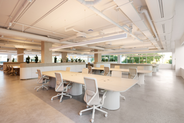 White Fox Boutique Headquarters - Sydney - 62