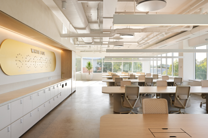 White Fox Boutique Headquarters - Sydney - 67