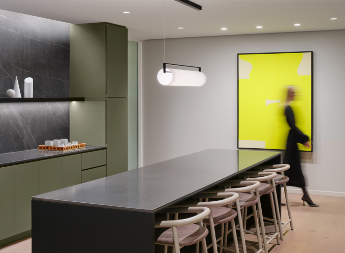 Hallstar Headquarters - Chicago - 11