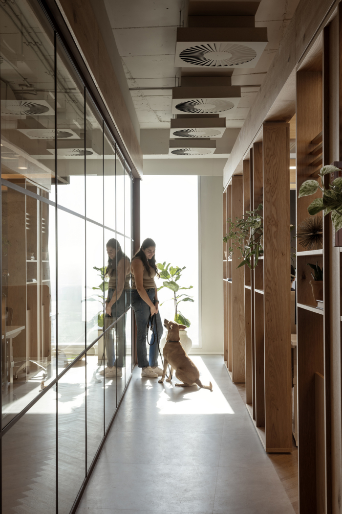 Masterschool Offices – Tel Aviv - 15