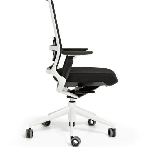 TNK500 AUREA - 0
