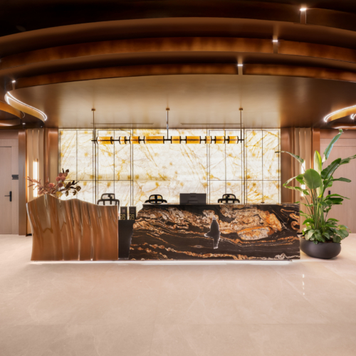 recent Yamini Krishna office photography projects