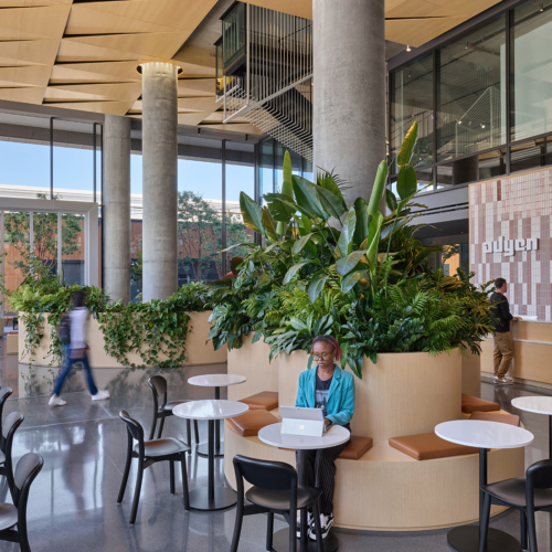 recent Adyen Offices – San Francisco office design projects
