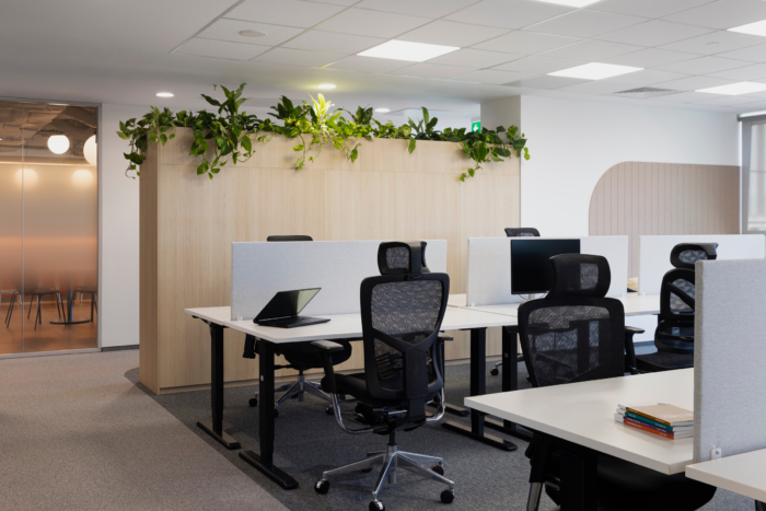 Insurify Offices – Sofia - 2